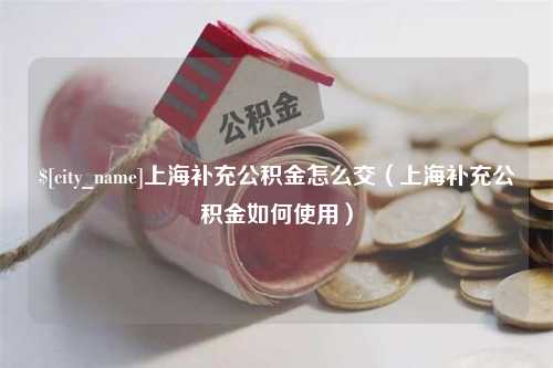 如皋上海补充公积金怎么交（上海补充公积金如何使用）